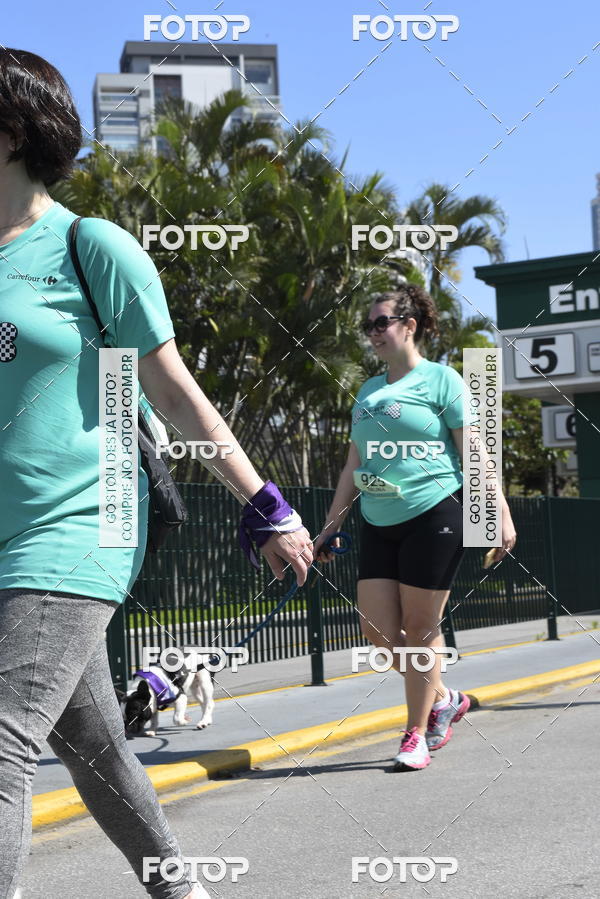 Buy your photos of the event2� Pet Run Shopping Eldorado  on Fotop
