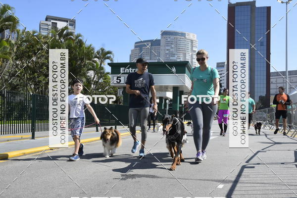 Buy your photos of the event2� Pet Run Shopping Eldorado  on Fotop