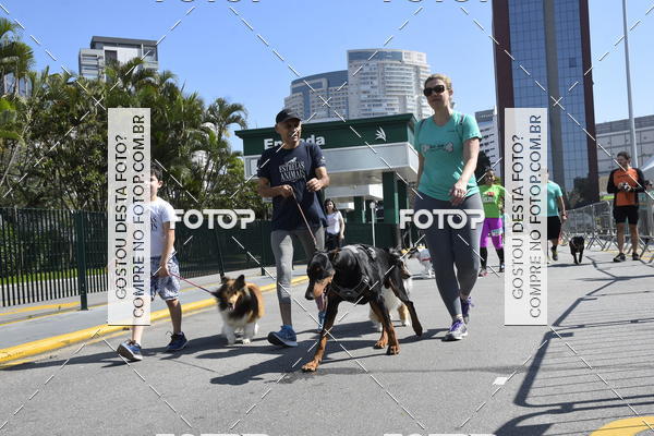 Buy your photos of the event2� Pet Run Shopping Eldorado  on Fotop