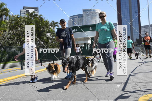 Buy your photos of the event2� Pet Run Shopping Eldorado  on Fotop
