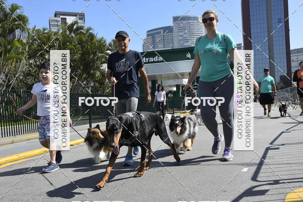Buy your photos of the event2� Pet Run Shopping Eldorado  on Fotop