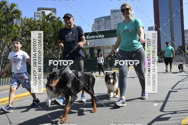 Buy your photos of the event2� Pet Run Shopping Eldorado  on Fotop