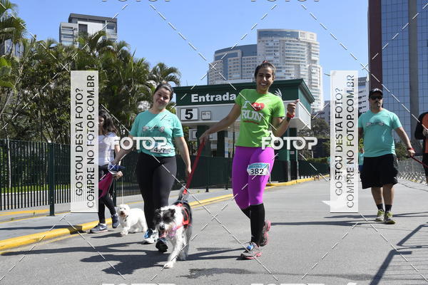 Buy your photos of the event2� Pet Run Shopping Eldorado  on Fotop