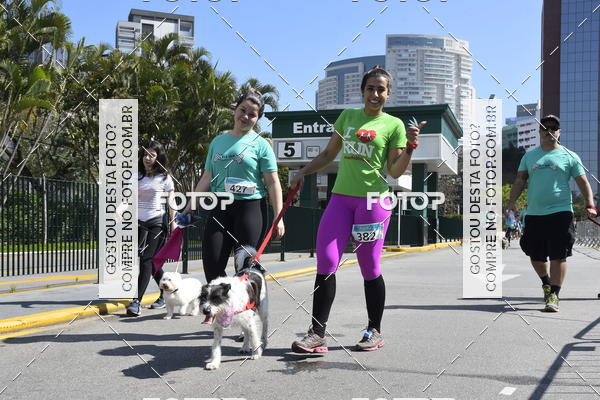 Buy your photos of the event2� Pet Run Shopping Eldorado  on Fotop