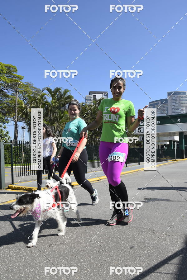 Buy your photos of the event2� Pet Run Shopping Eldorado  on Fotop