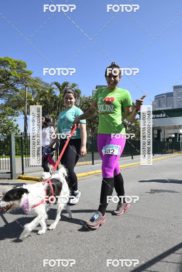 Buy your photos of the event2� Pet Run Shopping Eldorado  on Fotop