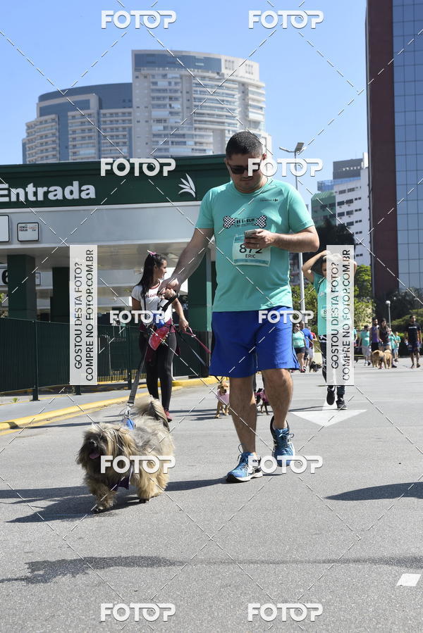 Buy your photos of the event2� Pet Run Shopping Eldorado  on Fotop