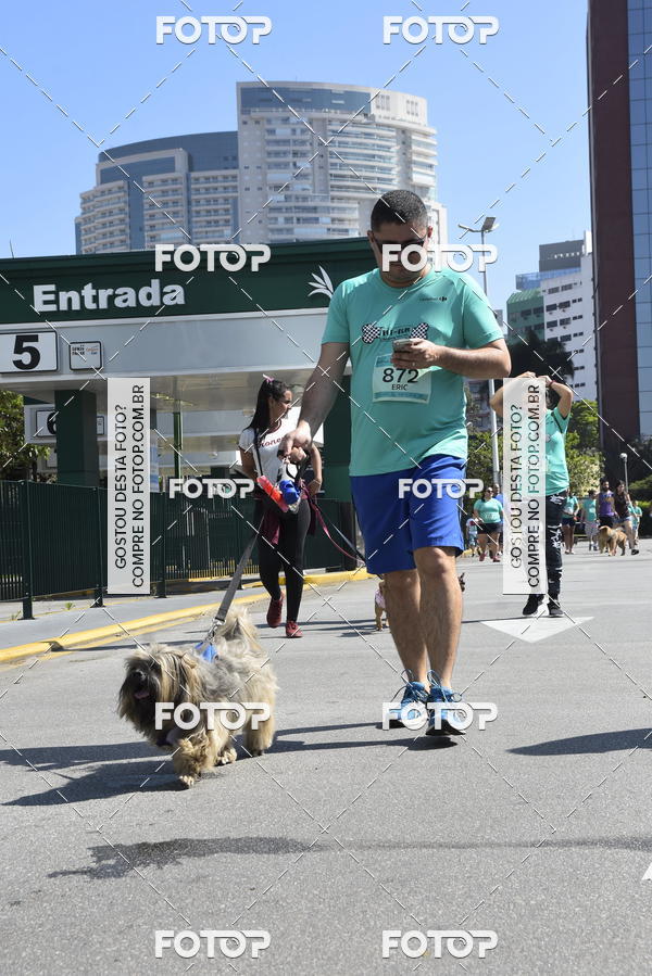 Buy your photos of the event2� Pet Run Shopping Eldorado  on Fotop