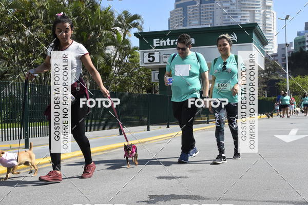 Buy your photos of the event2� Pet Run Shopping Eldorado  on Fotop