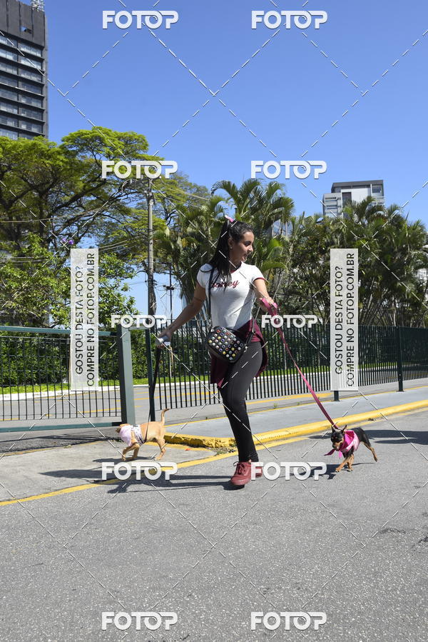 Buy your photos of the event2� Pet Run Shopping Eldorado  on Fotop