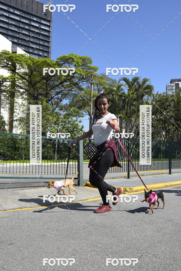 Buy your photos of the event2� Pet Run Shopping Eldorado  on Fotop