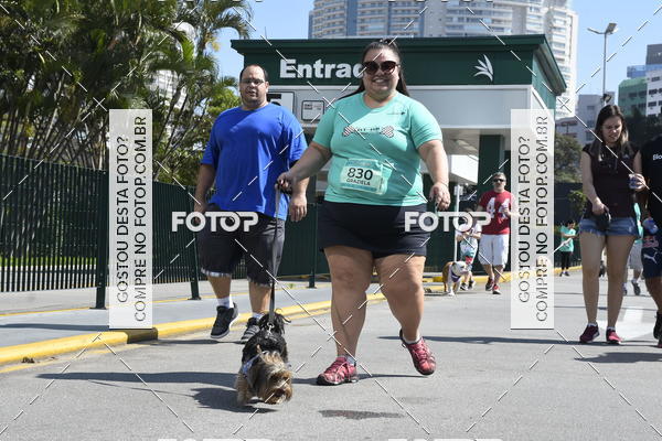 Buy your photos of the event2� Pet Run Shopping Eldorado  on Fotop