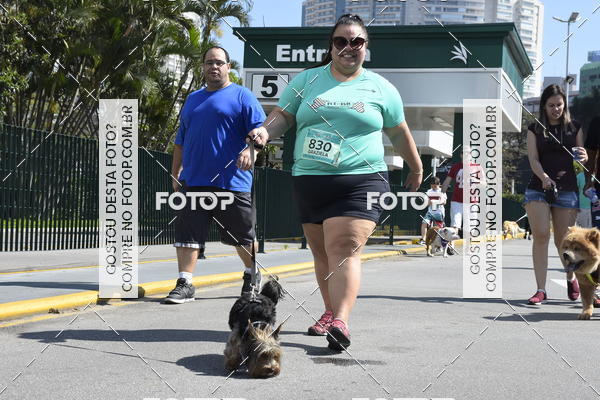 Buy your photos of the event2� Pet Run Shopping Eldorado  on Fotop