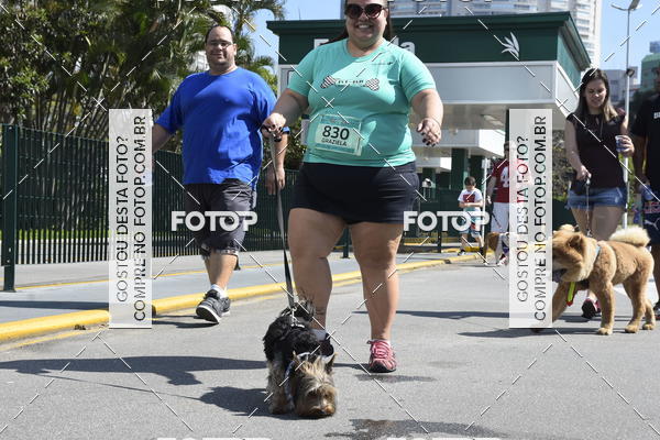 Buy your photos of the event2� Pet Run Shopping Eldorado  on Fotop