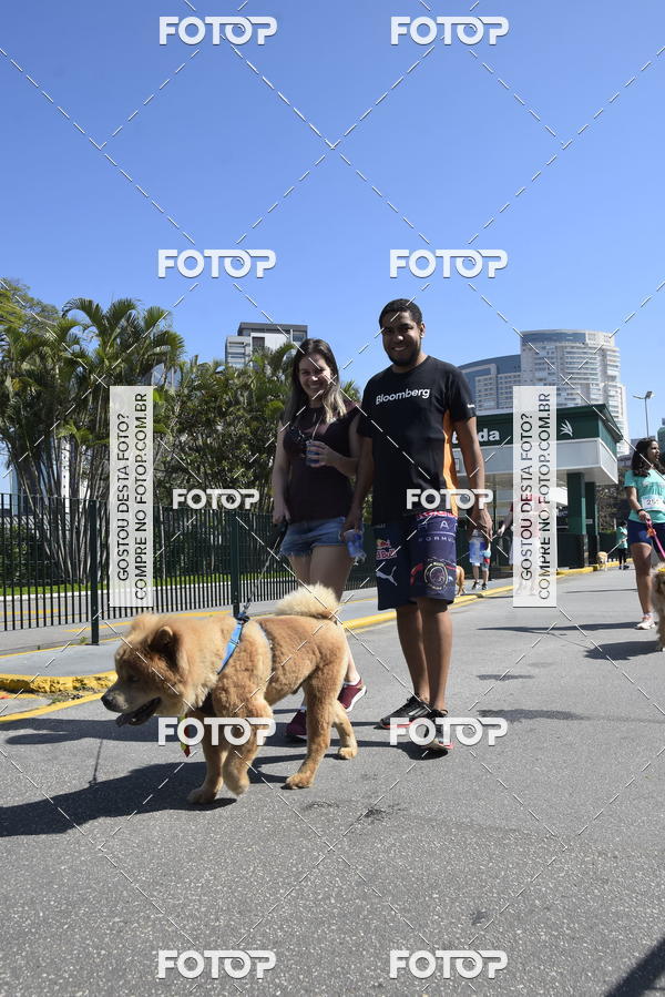 Buy your photos of the event2� Pet Run Shopping Eldorado  on Fotop