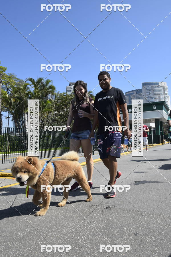 Buy your photos of the event2� Pet Run Shopping Eldorado  on Fotop