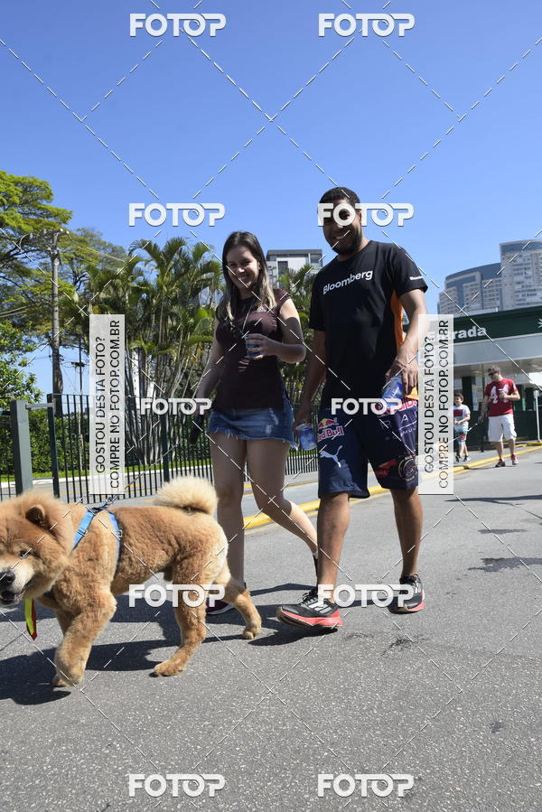 Buy your photos of the event2� Pet Run Shopping Eldorado  on Fotop