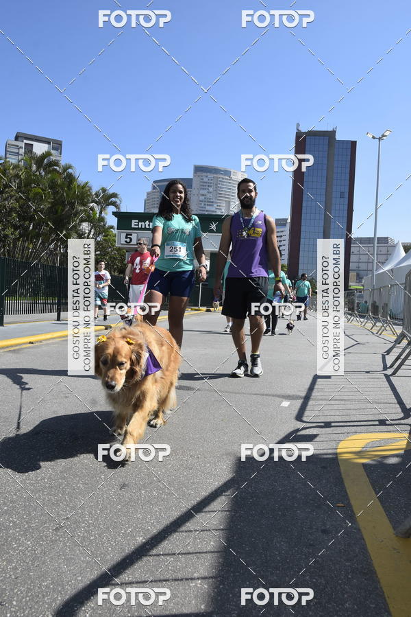 Buy your photos of the event2� Pet Run Shopping Eldorado  on Fotop