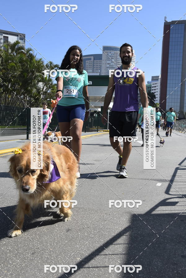 Buy your photos of the event2� Pet Run Shopping Eldorado  on Fotop