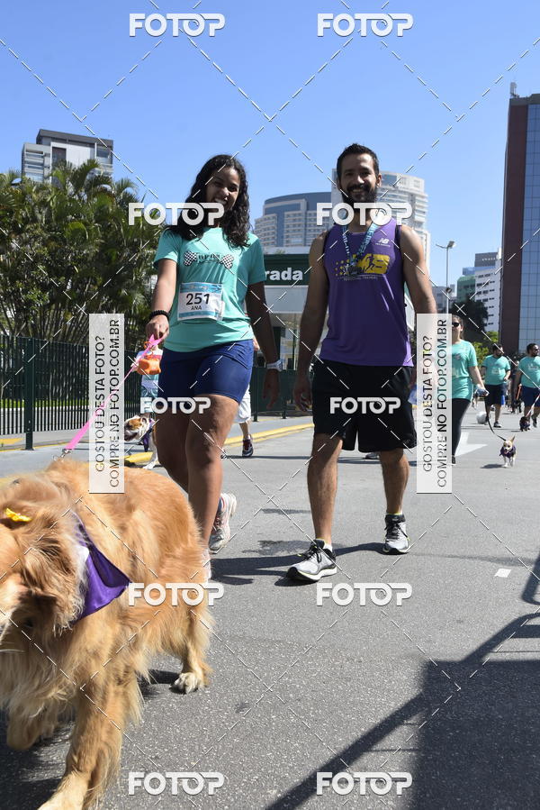 Buy your photos of the event2� Pet Run Shopping Eldorado  on Fotop
