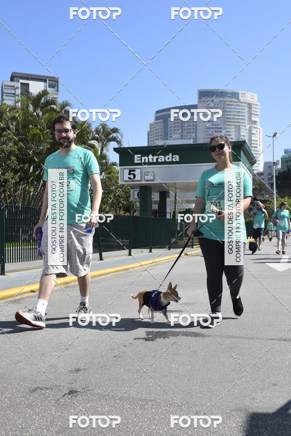 Buy your photos of the event2� Pet Run Shopping Eldorado  on Fotop