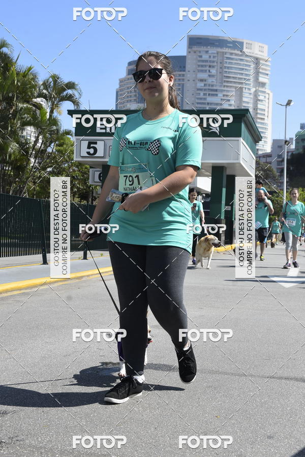 Buy your photos of the event2� Pet Run Shopping Eldorado  on Fotop