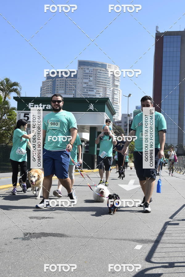 Buy your photos of the event2� Pet Run Shopping Eldorado  on Fotop