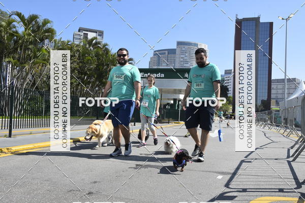 Buy your photos of the event2� Pet Run Shopping Eldorado  on Fotop