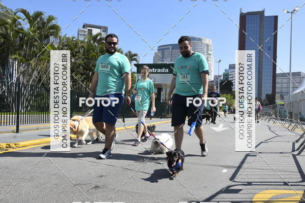 Buy your photos of the event2� Pet Run Shopping Eldorado  on Fotop