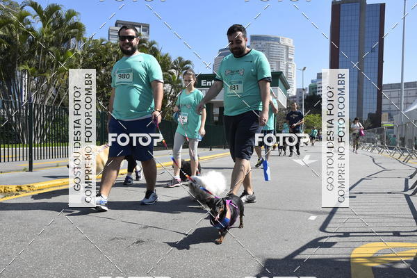 Buy your photos of the event2� Pet Run Shopping Eldorado  on Fotop