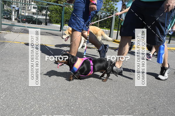 Buy your photos of the event2� Pet Run Shopping Eldorado  on Fotop