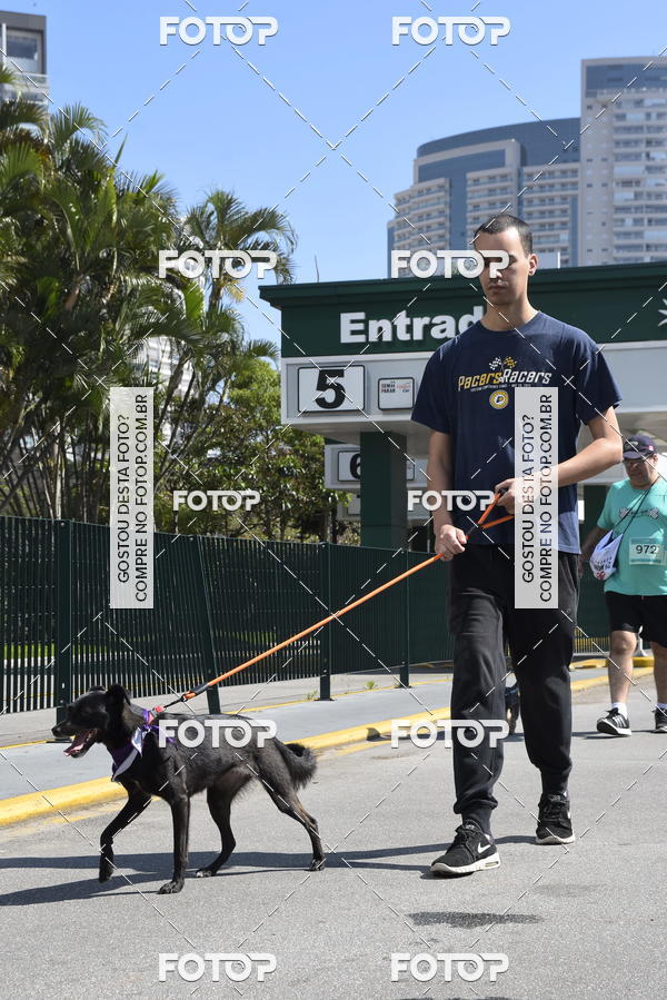 Buy your photos of the event2� Pet Run Shopping Eldorado  on Fotop