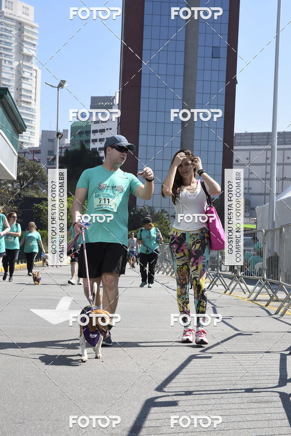 Buy your photos of the event2� Pet Run Shopping Eldorado  on Fotop