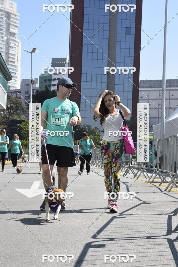 Buy your photos of the event2� Pet Run Shopping Eldorado  on Fotop