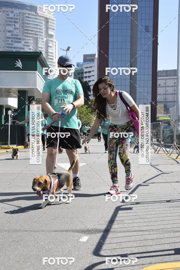 Buy your photos of the event2� Pet Run Shopping Eldorado  on Fotop
