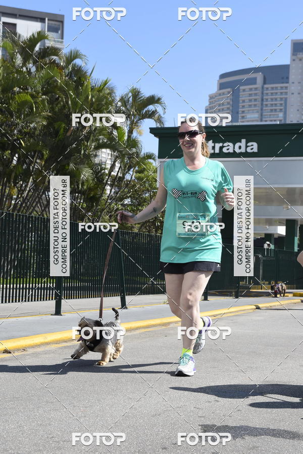 Buy your photos of the event2� Pet Run Shopping Eldorado  on Fotop