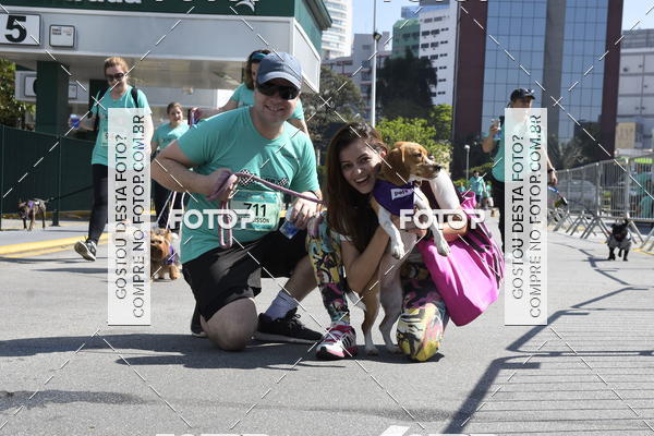 Buy your photos of the event2� Pet Run Shopping Eldorado  on Fotop