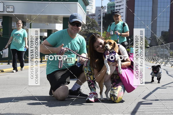 Buy your photos of the event2� Pet Run Shopping Eldorado  on Fotop