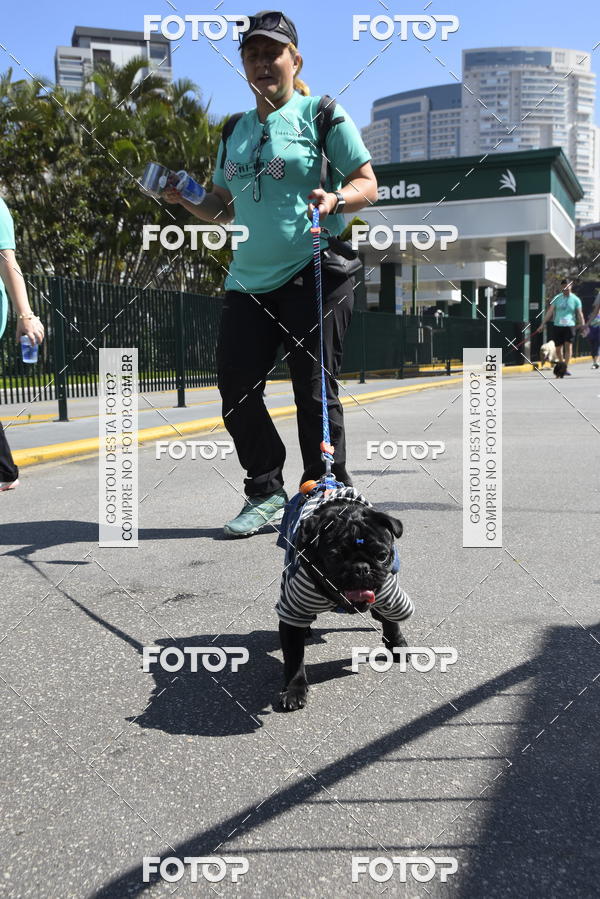 Buy your photos of the event2� Pet Run Shopping Eldorado  on Fotop