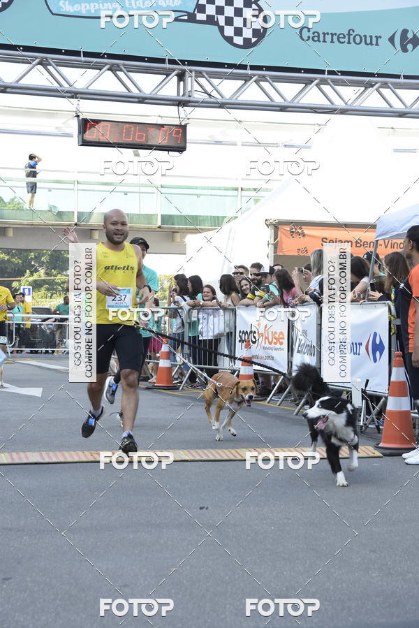 Acquista le foto dell'evento2 Pet Run Shopping Eldorado  in Fotop