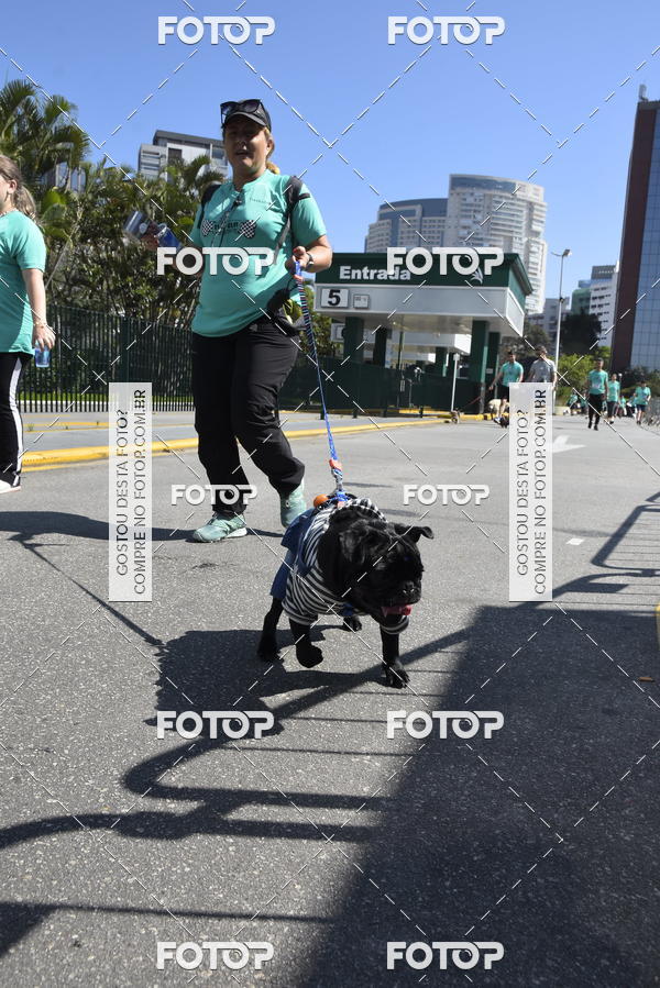 Buy your photos of the event2� Pet Run Shopping Eldorado  on Fotop