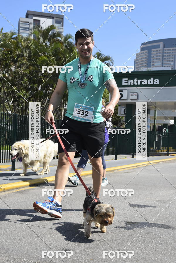 Buy your photos of the event2� Pet Run Shopping Eldorado  on Fotop