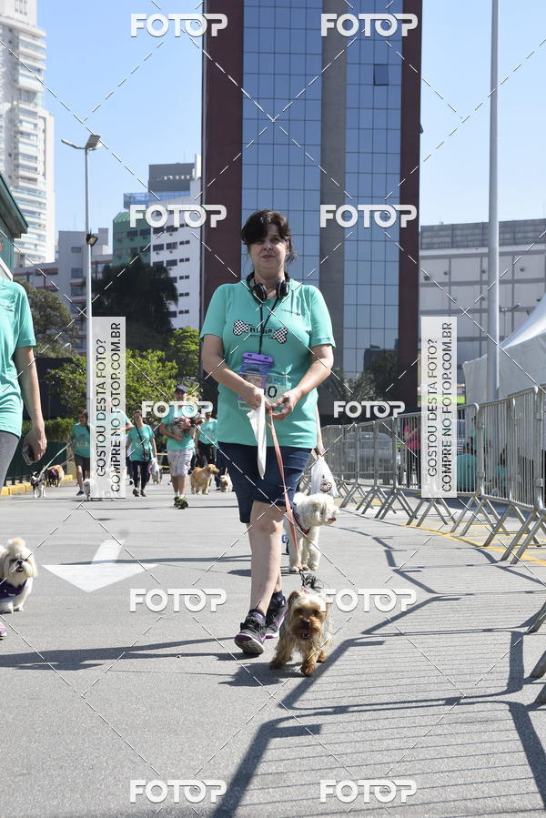 Buy your photos of the event2� Pet Run Shopping Eldorado  on Fotop