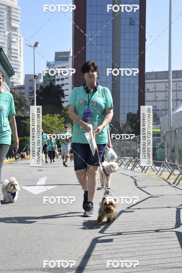 Buy your photos of the event2� Pet Run Shopping Eldorado  on Fotop