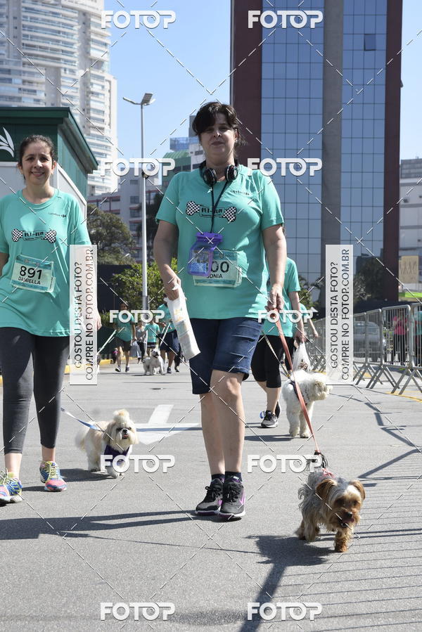 Buy your photos of the event2� Pet Run Shopping Eldorado  on Fotop