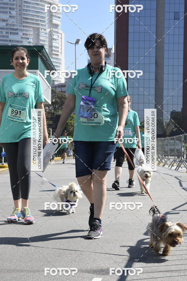 Buy your photos of the event2� Pet Run Shopping Eldorado  on Fotop