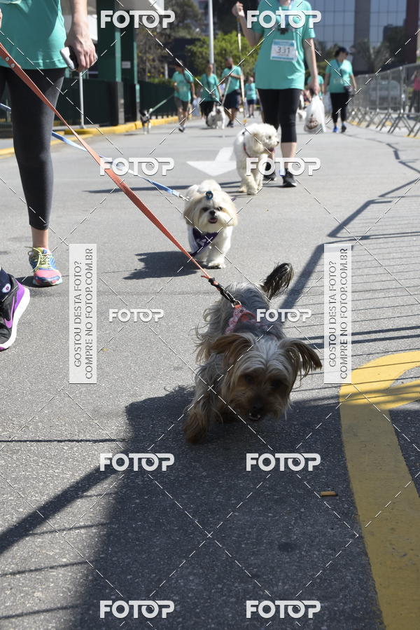 Buy your photos of the event2� Pet Run Shopping Eldorado  on Fotop