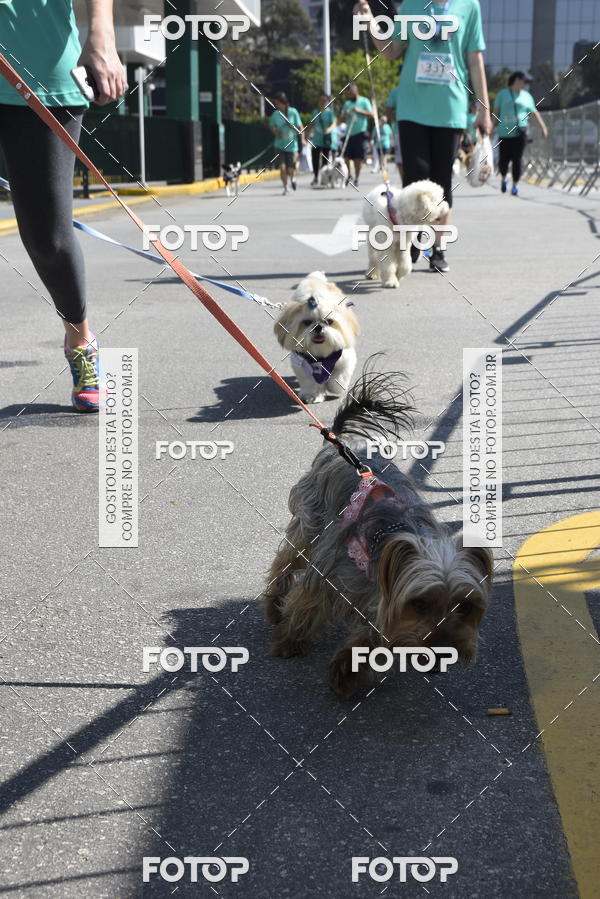 Buy your photos of the event2� Pet Run Shopping Eldorado  on Fotop