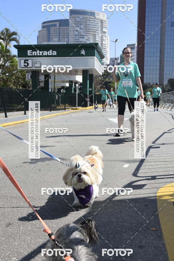 Buy your photos of the event2� Pet Run Shopping Eldorado  on Fotop