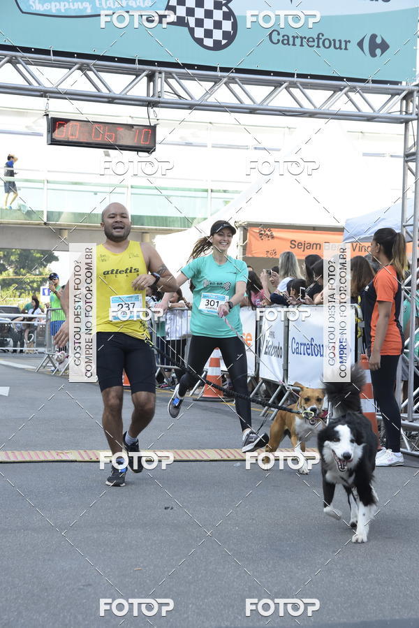 Acquista le foto dell'evento2 Pet Run Shopping Eldorado  in Fotop